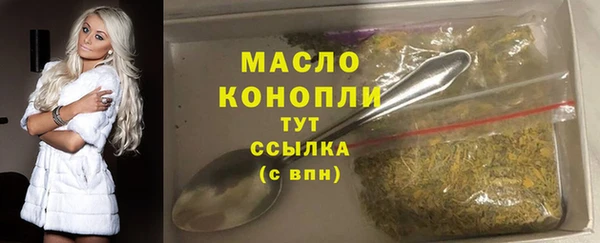 индика Бугульма